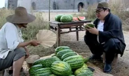 黑网吃瓜网,网络世界的暗流涌动