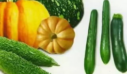 吃瓜网最近的瓜,娱乐圈最新重磅事件大曝光！