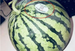 网红视频吃瓜最新,揭秘娱乐圈最新热点事件